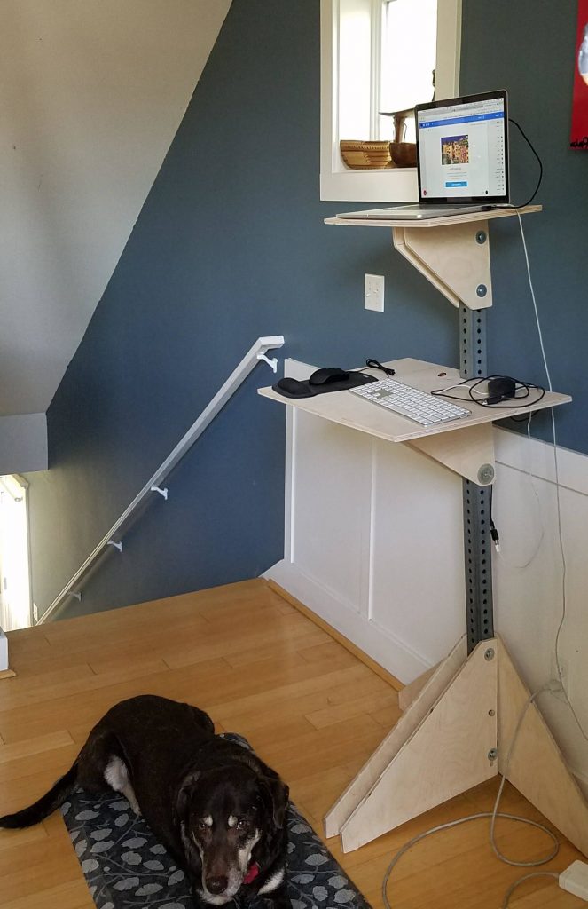 Distinctive DIY Adjustable Standing Desk