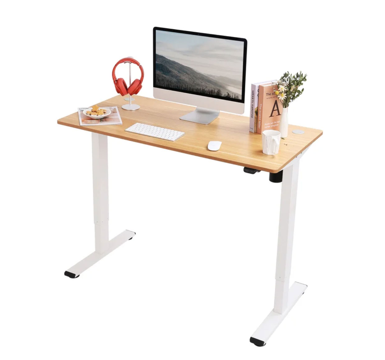 Flexispot Desk Review