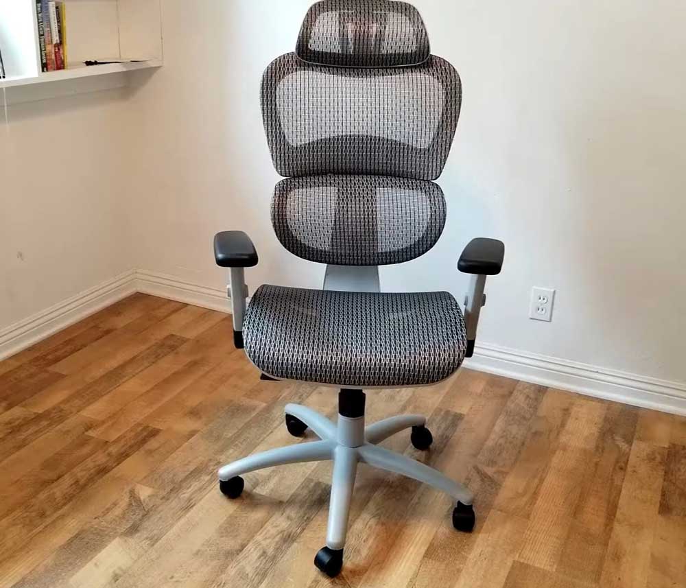 ergoal ergonomic chair review