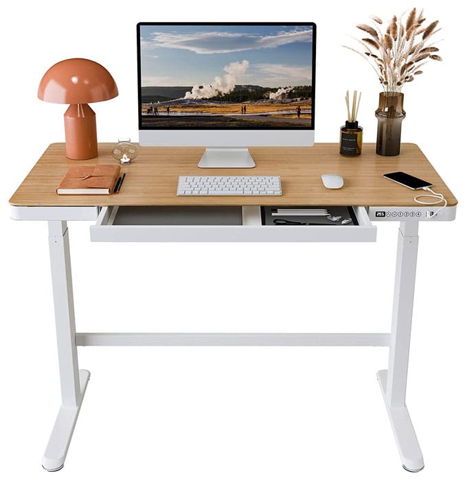 FLEXISPOT EB8 Standing Desk with Drawers